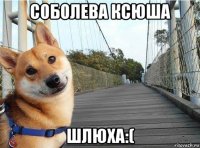 соболева ксюша шлюха:(