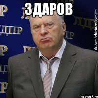 здаров 