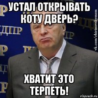 устал открывать коту дверь? хватит это терпеть!