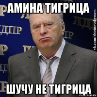 амина тигрица шучу не тигрица