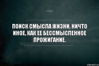 Поиск смысла жизни, ничто иное, как ее бессмысленное прожигание.