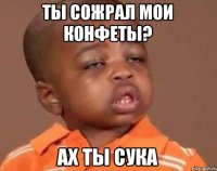 ТЫ СОЖРАЛ МОИ КОНФЕТЫ? АХ ТЫ СУКА