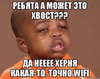 Ребята а может это хвост??? Да нееее херня какая-то. Точно wifi