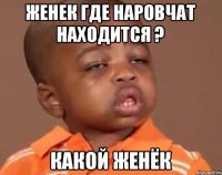 Женек где наровчат находится ? Какой Женёк