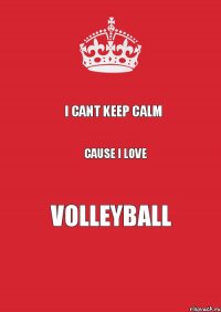 I cant Keep Calm Cause I LOVE Volleyball