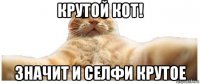 крутой кот! значит и селфи крутое