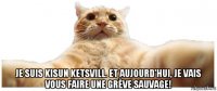  je suis kisun ketsvill. et aujourd'hui, je vais vous faire une grève sauvage!