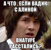 а что , если вадик с алиной внатуре расстались?