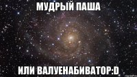 Мудрый Паша или Валуенабиватор:D