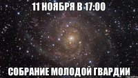 11 ноября в 17:00 собрание молодой гвардии