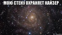 мою стену охраняет кайзер 