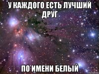 у каждого есть лучший друг по имени белый