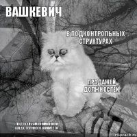 Вашкевич продажей должностей в подконтрольных структурах под особым вниманием следственного комитета      