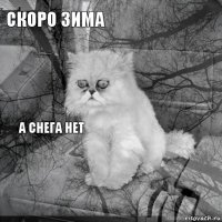 скоро зима    а снега нет     