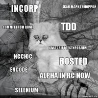 inCorp Bosted TDD SELENIUM иссюс Жан Марк геморрой ALPHA IN RC NOW Commit from RUNE ENCODE JAVASCRIPT тестирование