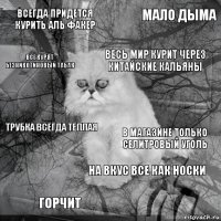 всегда придется курить аль факер в магазине только селитровый уголь весь мир курит через китайские кальяны горчит трубка всегда теплая мало дыма на вкус все как носки все курят безникотиновый табак  