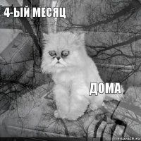 4-ЫЙ МЕСЯЦ ДОМА        