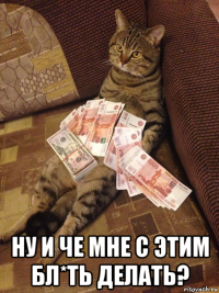  ну и че мне с этим бл*ть делать?