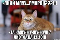 -Який Мяуу...рмарок???!!! -Та кажу-жу-жу-жу!!! 7 листоада 12.20!!!