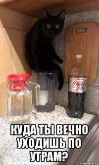  куда ты вечно уходишь по утрам?