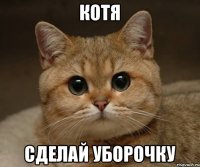 котя сделай уборочку