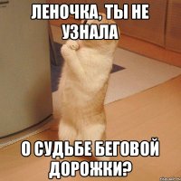 ЛЕНОЧКА, ТЫ НЕ УЗНАЛА О СУДЬБЕ БЕГОВОЙ ДОРОЖКИ?