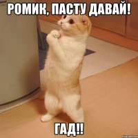 Ромик, пасту давай! Гад!!