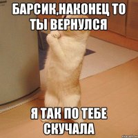 Барсик,наконец то ты вернулся Я так по тебе скучала