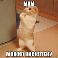 мам можно кискотеку