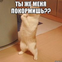 Ты же меня покормишь?? 