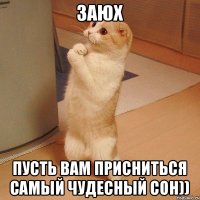 заюх Пусть вам присниться самый чудесный сон))