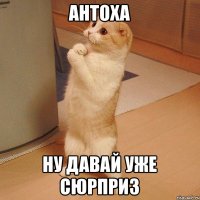 Антоха ну давай уже сюрприз