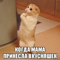  когда мама принесла вкусняшек