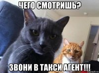 ЧЕГО СМОТРИШЬ? ЗВОНИ В ТАКСИ АГЕНТ!!!