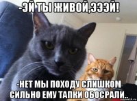 -эй ты живой,эээй! -нет мы походу слишком сильно ему тапки обосрали..