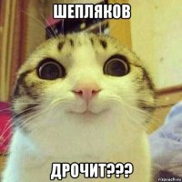 шепляков дрочит???