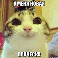 у меня новая прическа