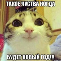 такое чуства когда будет новый год!!!