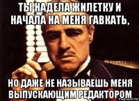 ты надела жилетку и начала на меня гавкать, но даже не называешь меня выпускающим редактором