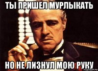 ты пришел мурлыкать но не лизнул мою руку