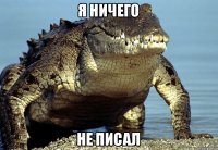 Я ничего Не писал