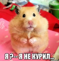  Я ?-- я не курил...