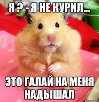Я ? - я не курил... Это галай на меня надышал