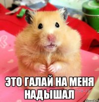  Это галай на меня надышал