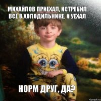 михайлов приехал, истребил всё в холодильнике, и уехал норм друг, да?