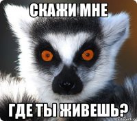 СКАЖИ МНЕ ГДЕ ТЫ ЖИВЕШЬ?