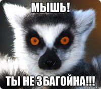 Мышь! ТЫ НЕ ЗБАГОЙНА!!!