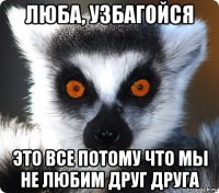 люба, узбагойся это все потому что мы не любим друг друга