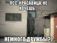 Псс, красавица, не хочешь... немного дружбы?)