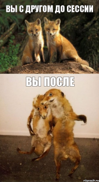 ВЫ С ДРУГОМ ДО СЕССИИ ВЫ ПОСЛЕ